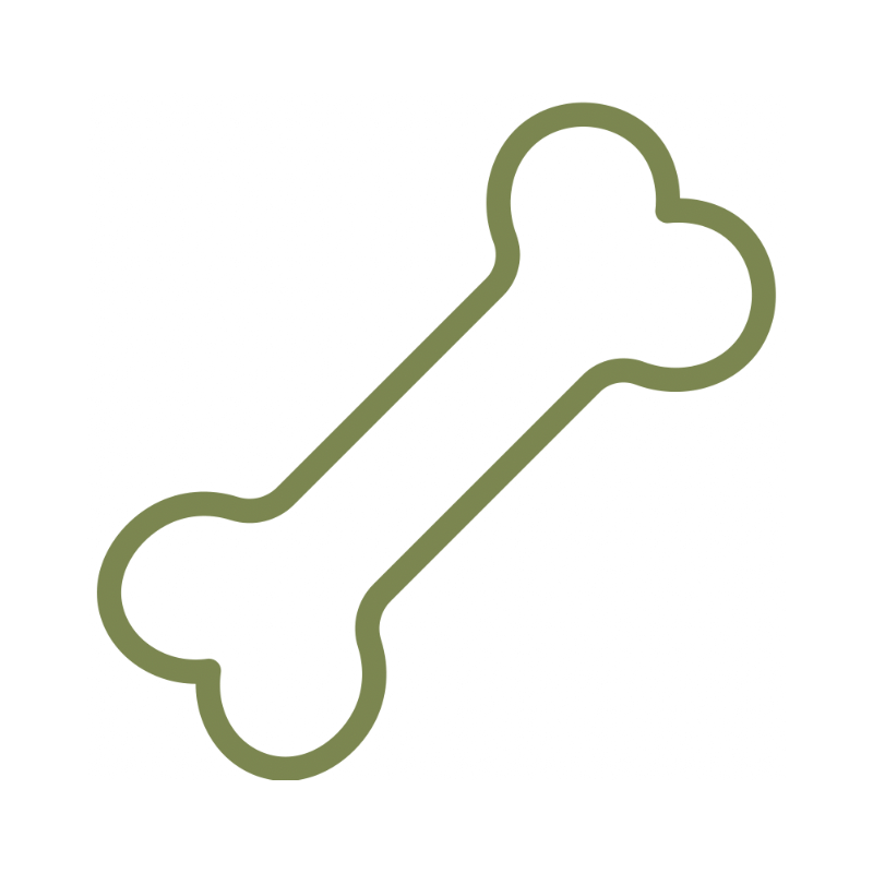 Outline drawing of a dog bone in a light green color.