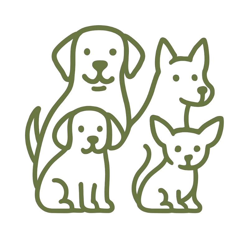 Outline drawing of three dogs and two cats in green lines