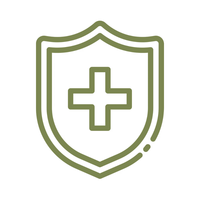 Fully insured and Pet First Aid certified dog walking services focused on safety, wellbeing, and responsible care.
