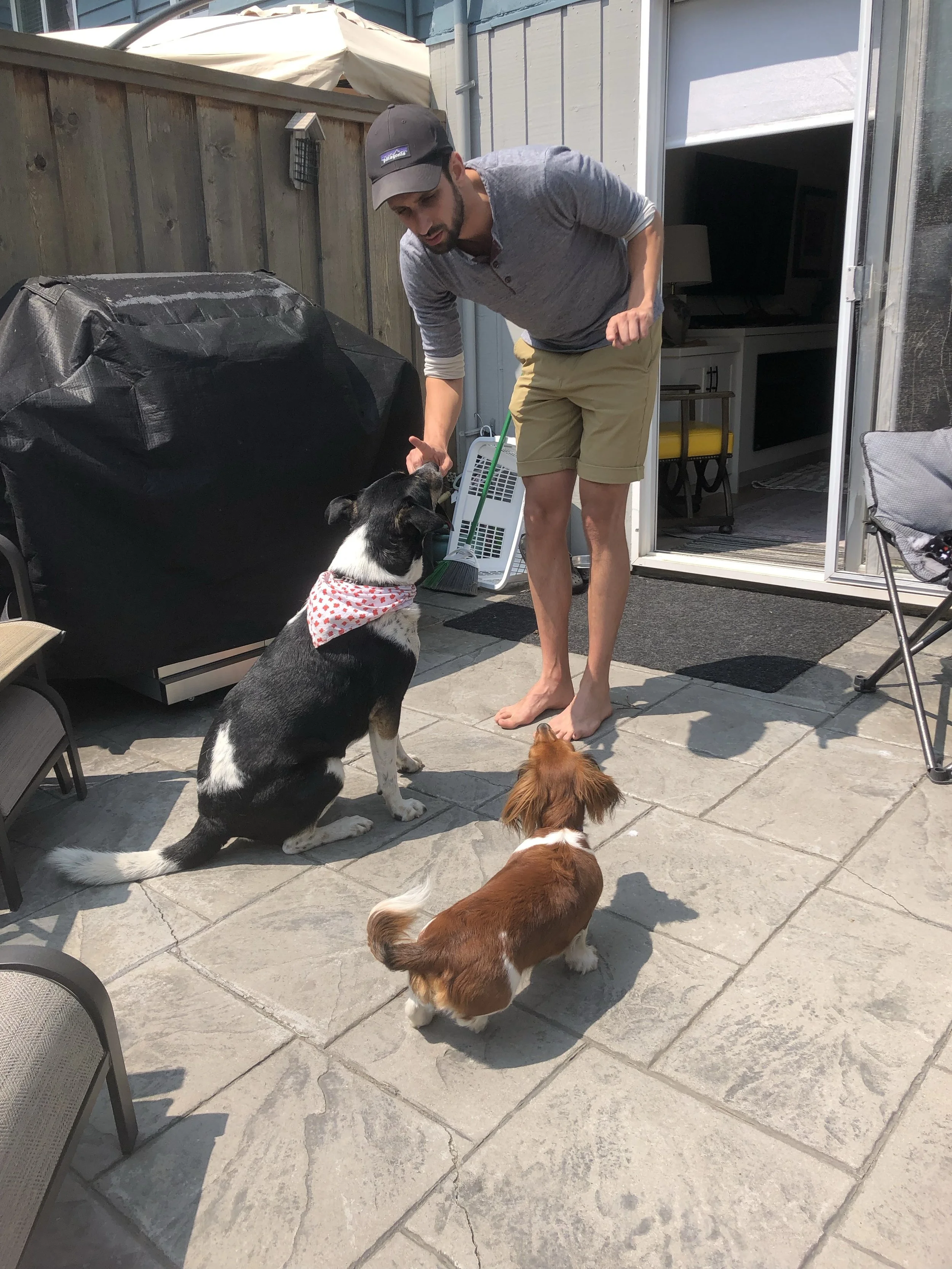 A man in a gray long-sleeve shirt, khaki shorts, and a black cap is barefoot and interacting with three dogs on a patio outside a house. The dogs include a black and white dog with a red bandana, a brown and white dog, and a small dog with light brown fur.