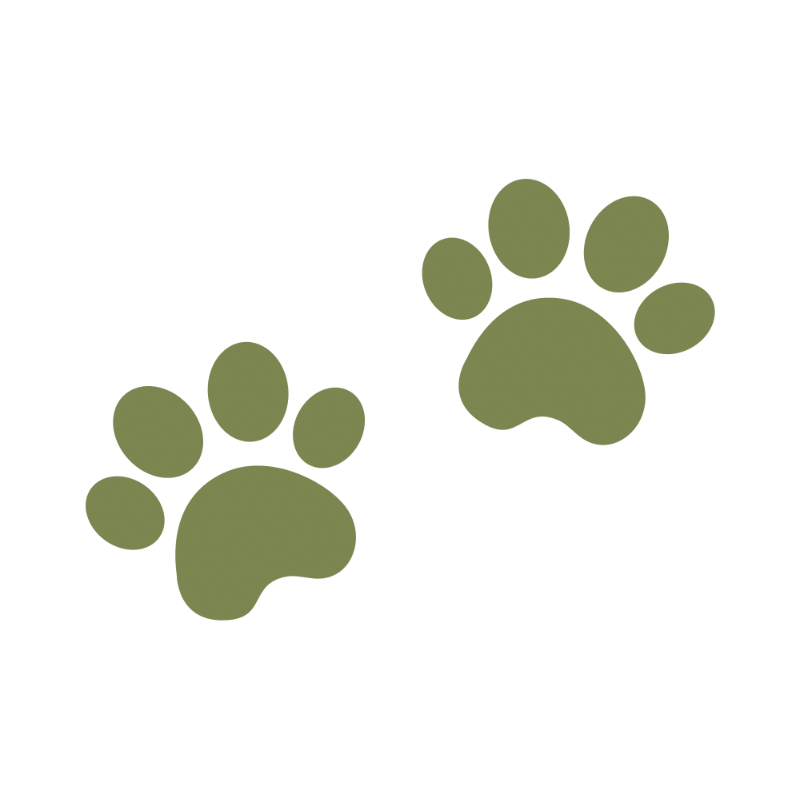 Two green paw prints on a black background.