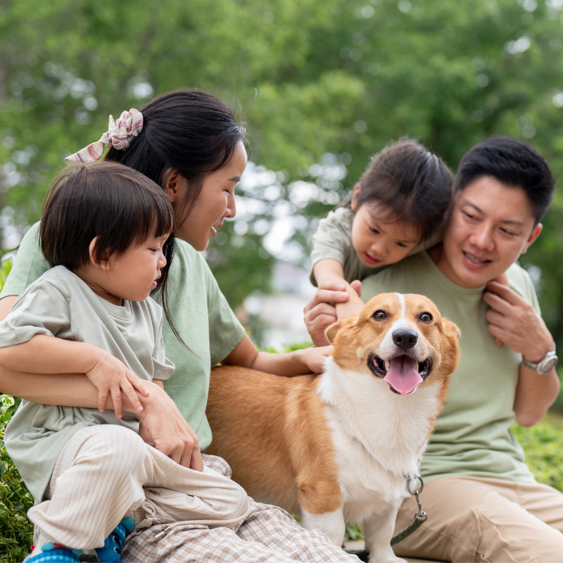 A family of four with a dog enjoying time outdoors in a park with green trees, sitting on the grass and lovingly interacting with the dog.