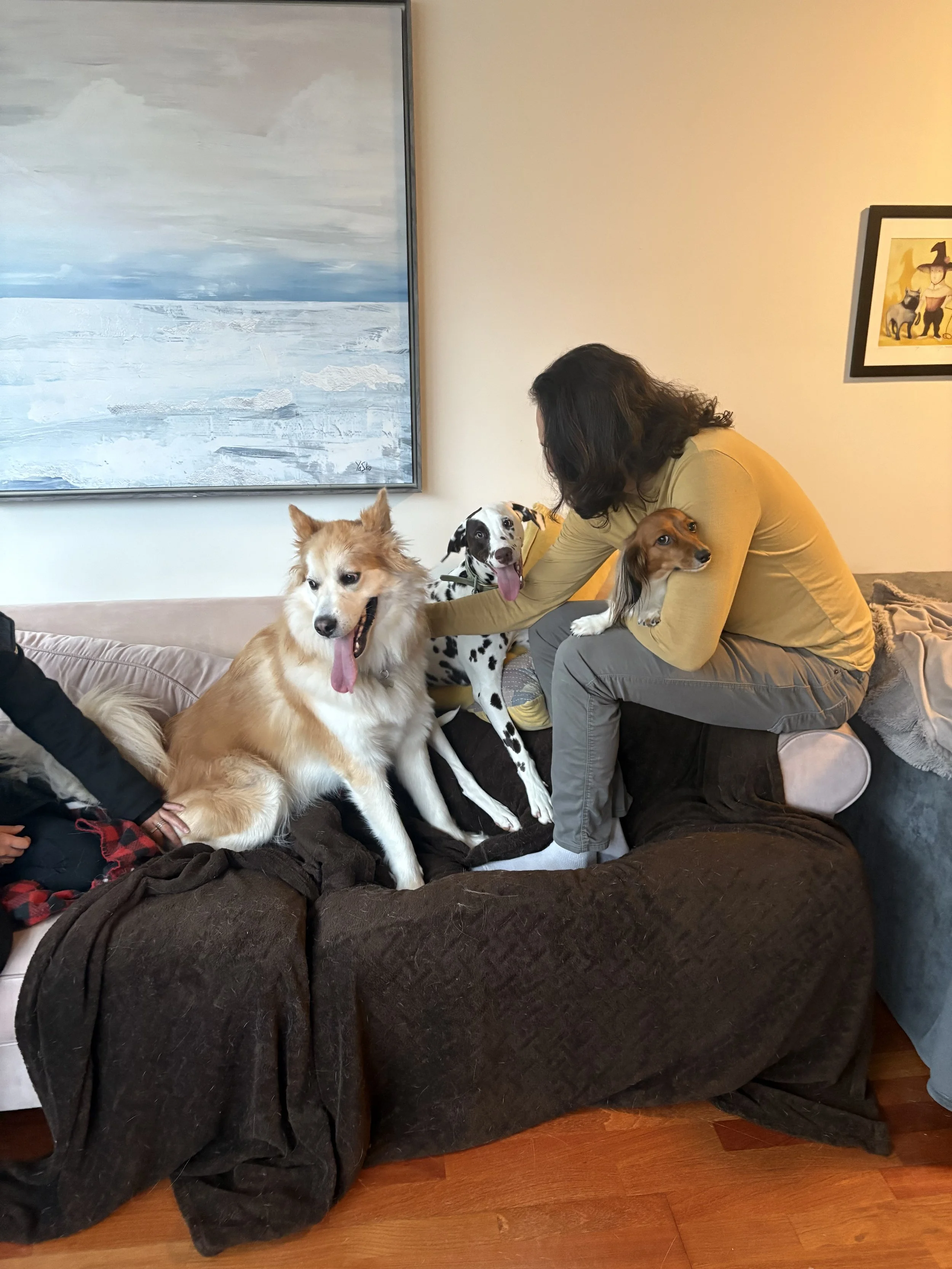 A woman sitting on a sofa with four dogs around her, in a living room with framed artwork on the wall.