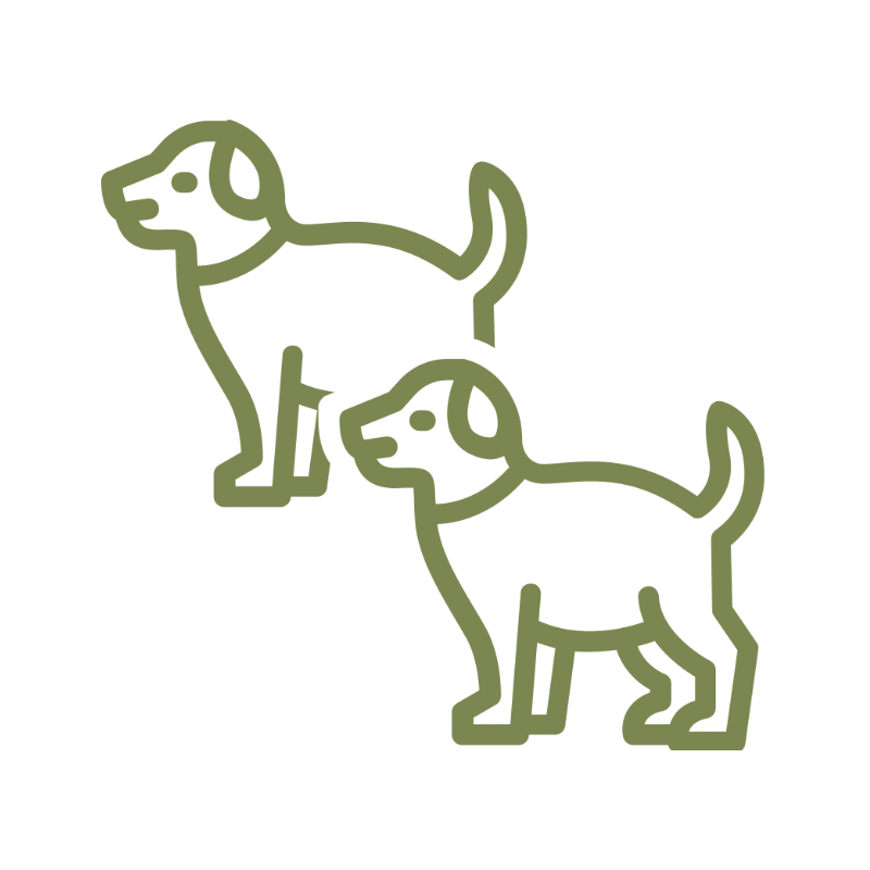 Two green outline drawings of puppies facing opposite directions, connected at the necks, on a black background.