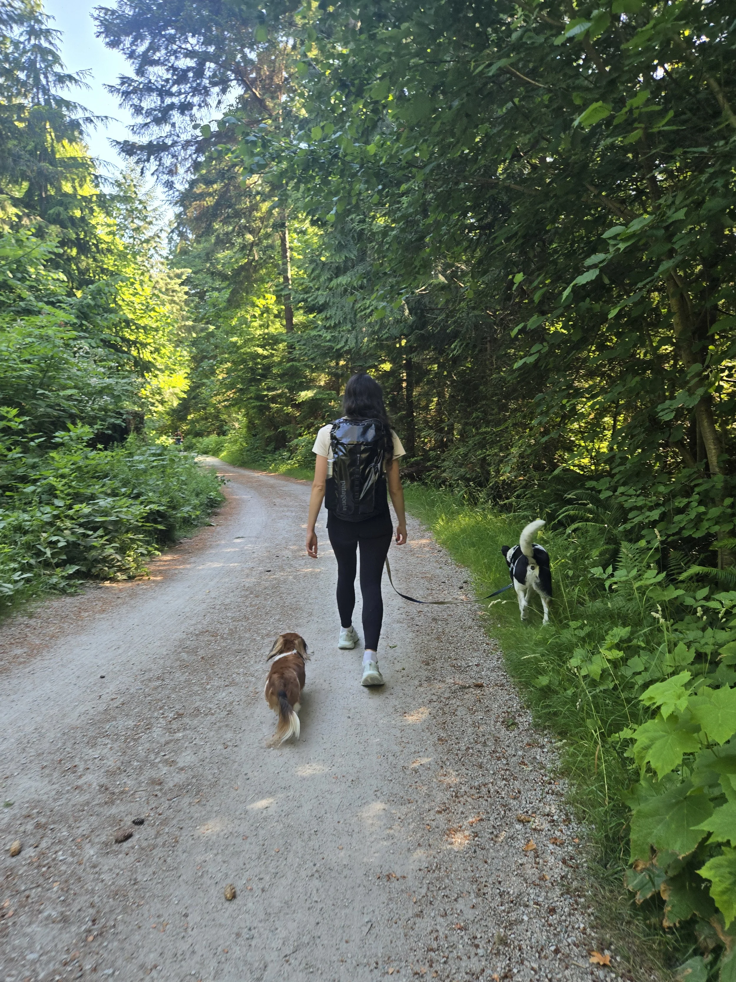 A person walking on a dirt path surrounded by trees and greenery, accompanied by a dog on a leash and a smaller dog nearby.