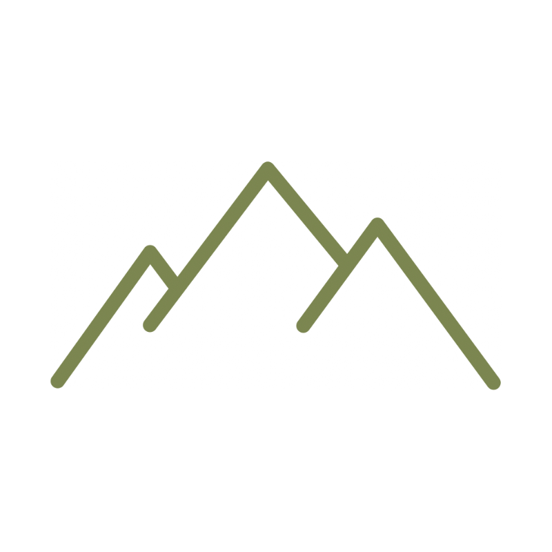 Line graph showing fluctuations in data points with a mountain-like pattern.