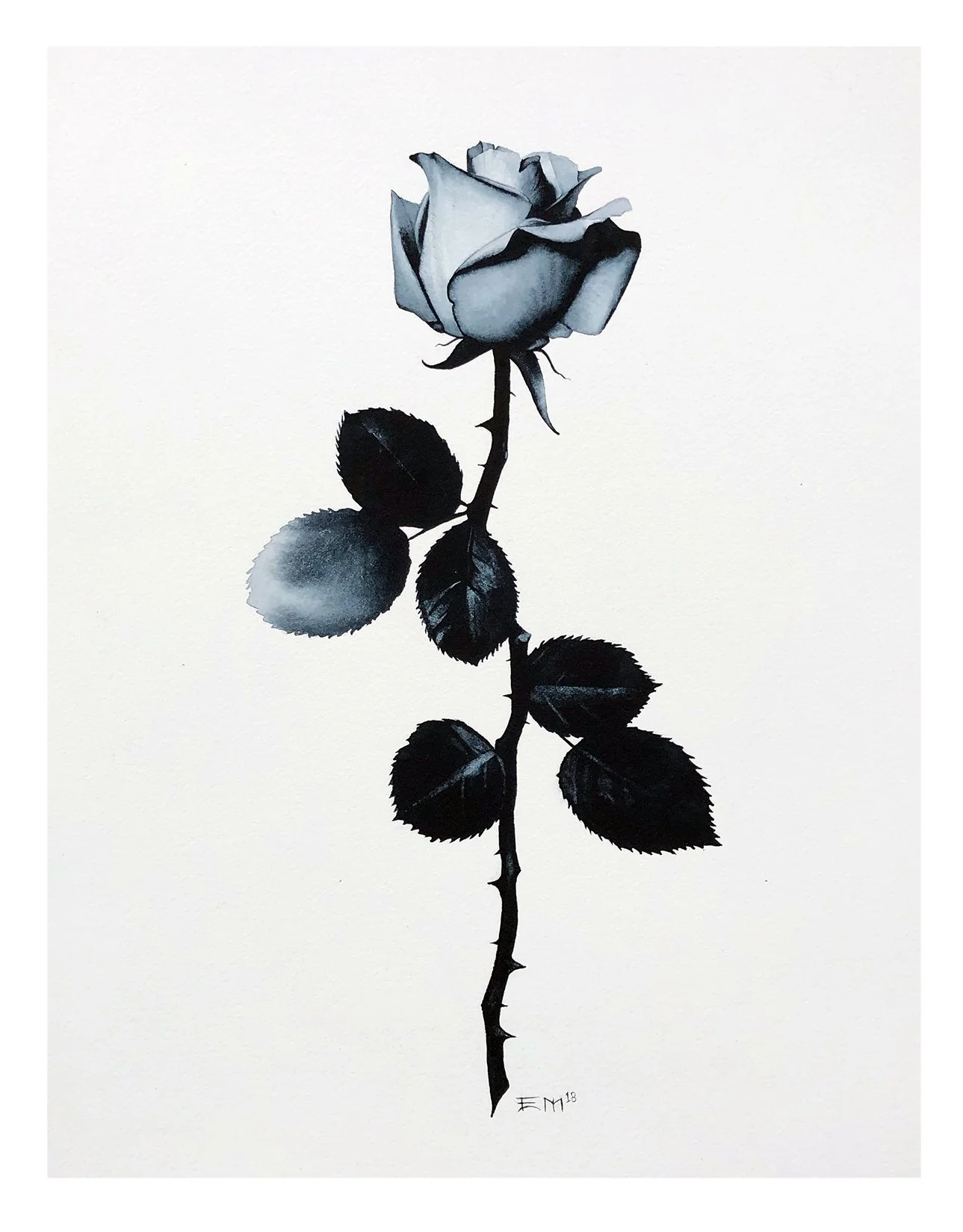 rose.jpg
