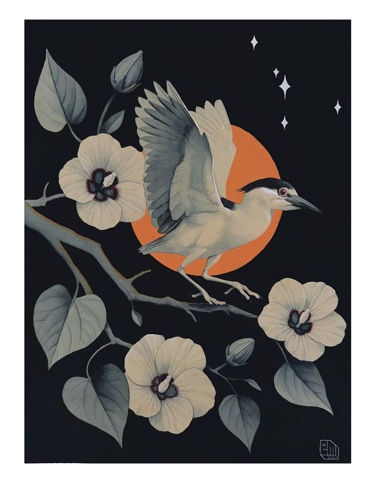 Fly by, Night Heron website.jpg