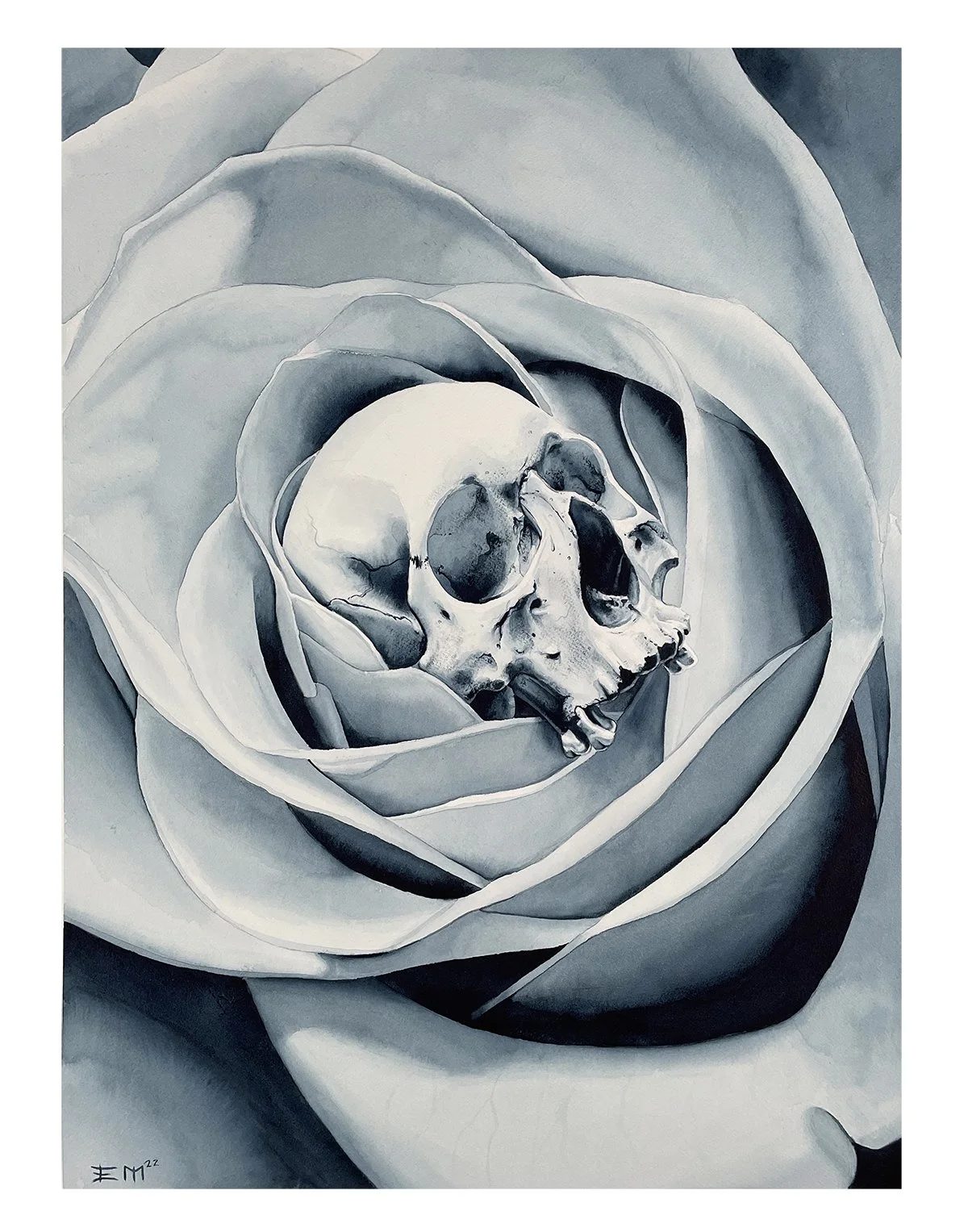 skullrose.jpg