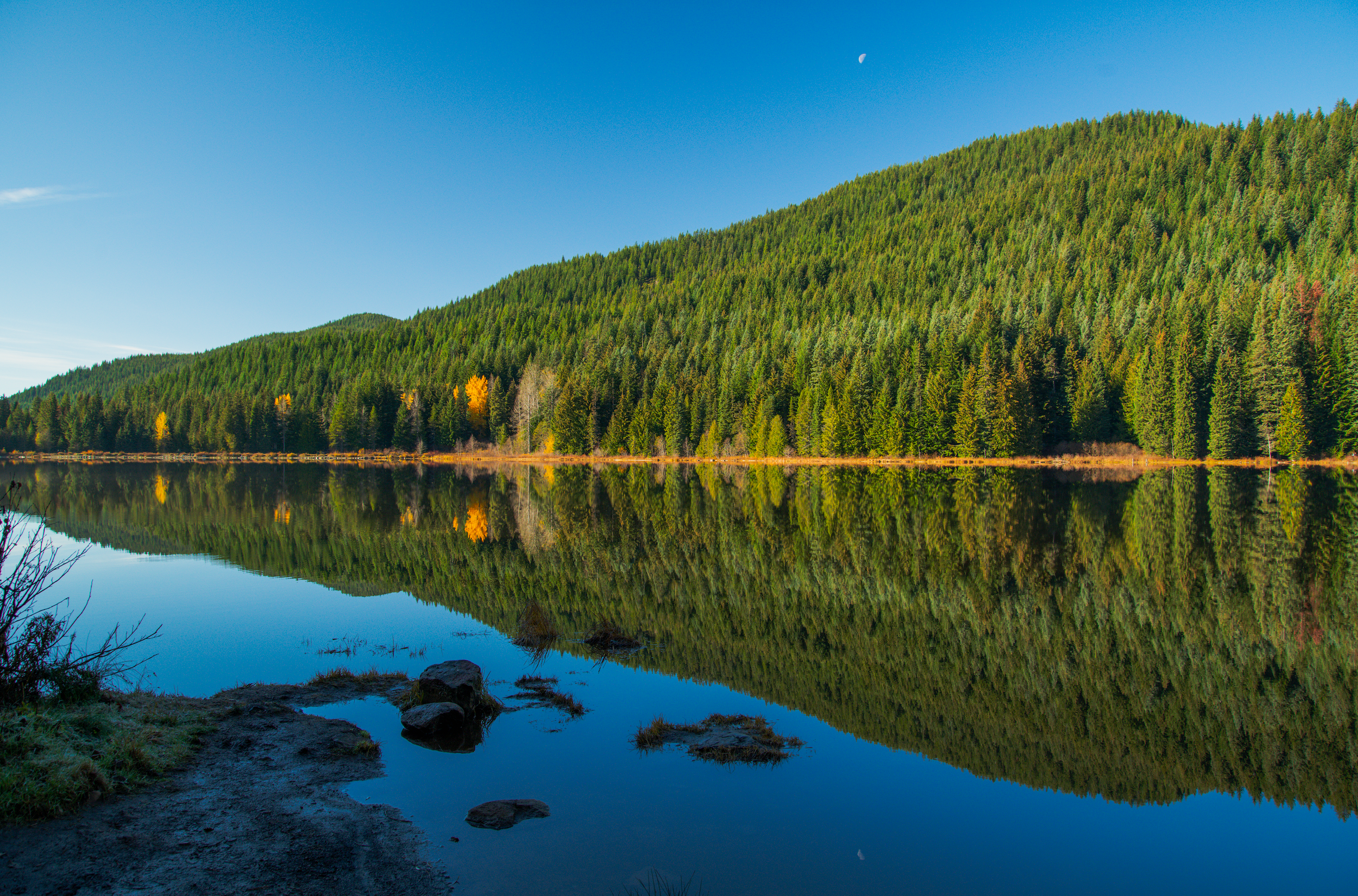 Mt Hood National Forest