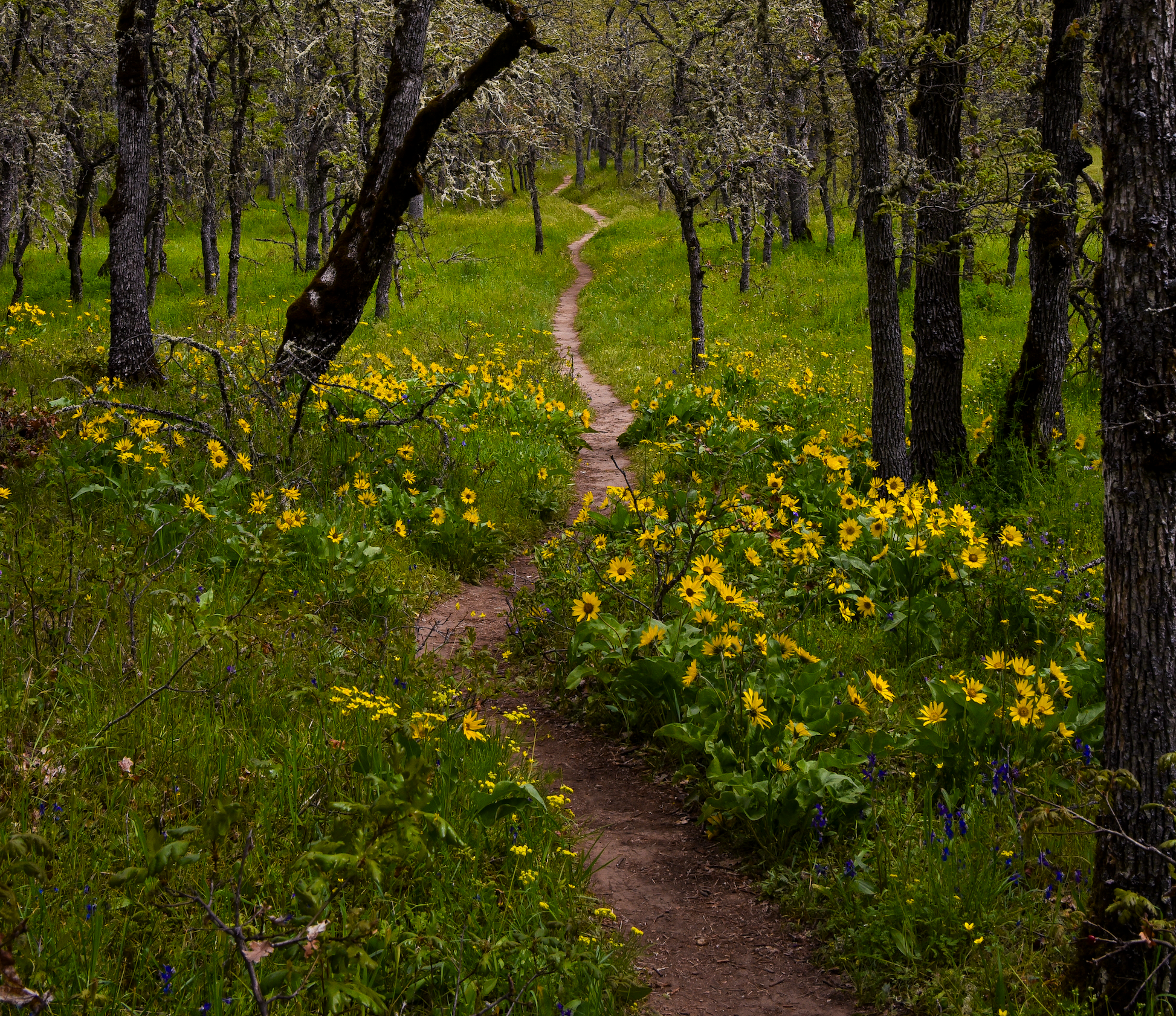 Rowena Plateau