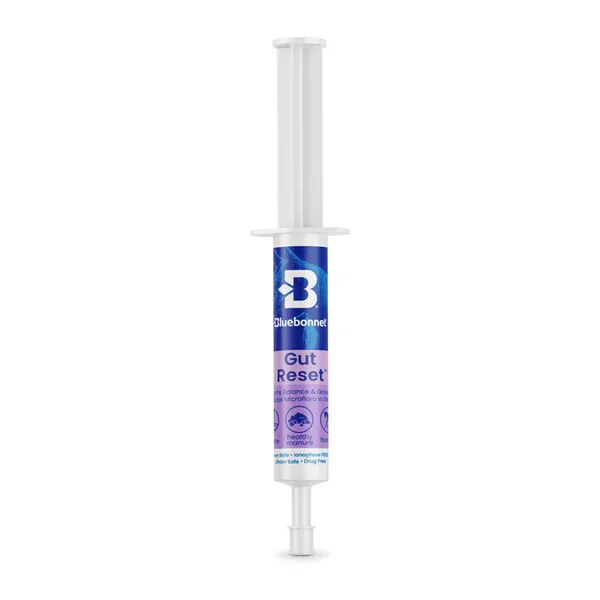 Bluebonnet Gut Reset Paste