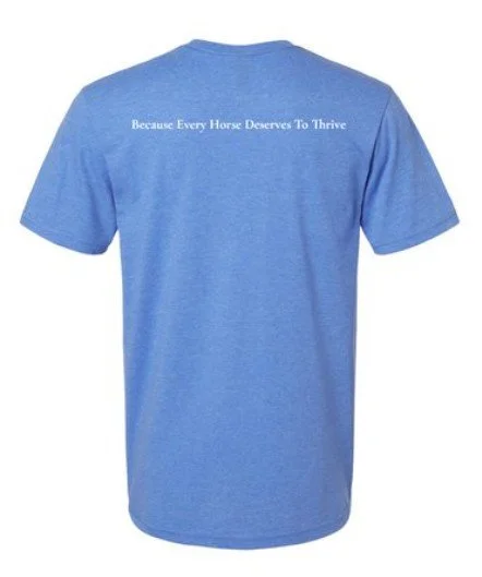 Gilden Softstyle Unisex Tee Back.jpg