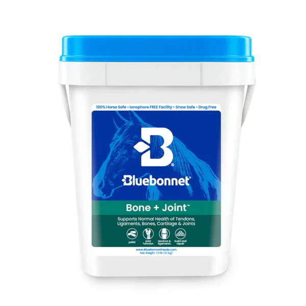 Bluebonnet Bone + Joint