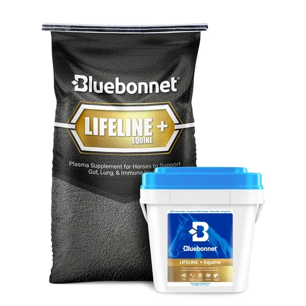 Lifeline3 (1).webp