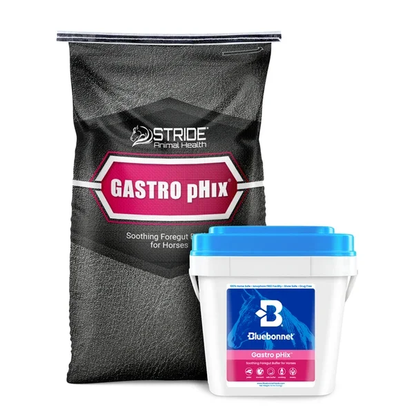 GastropHix2.webp