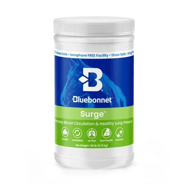 Bluebonnet Surge Powder