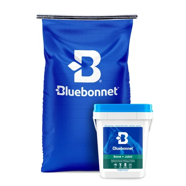 Bone&Joint2.webp
