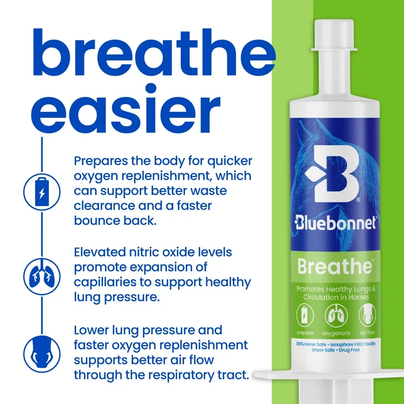 Bluebonnet_Breathe_Paste3.webp