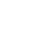 Icon of a gear or cogwheel.