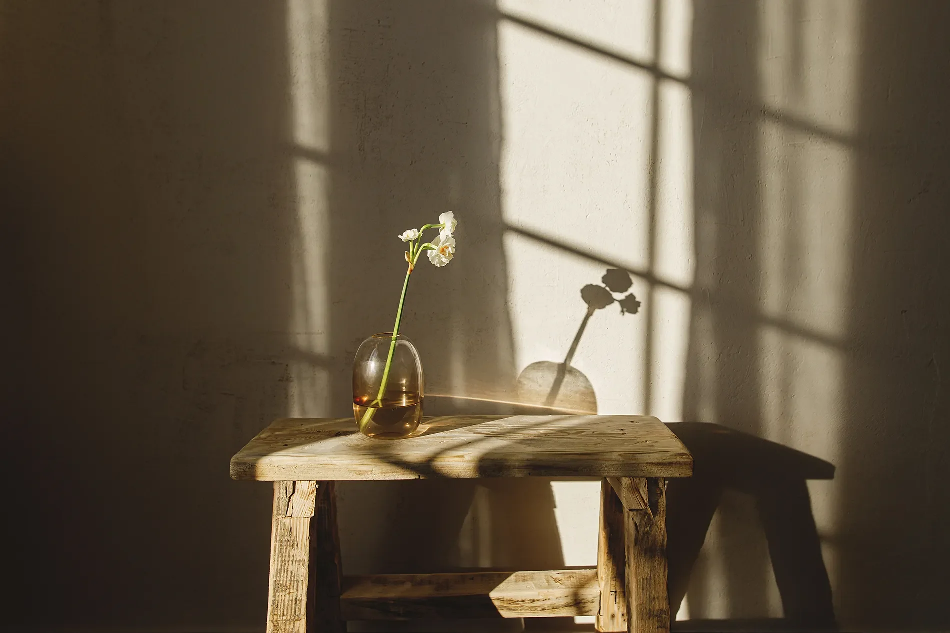 A small glass vase with a single white flower is placed on a wooden table, illuminated by sunlight through a window, casting a shadow of the flower on the wall behind.