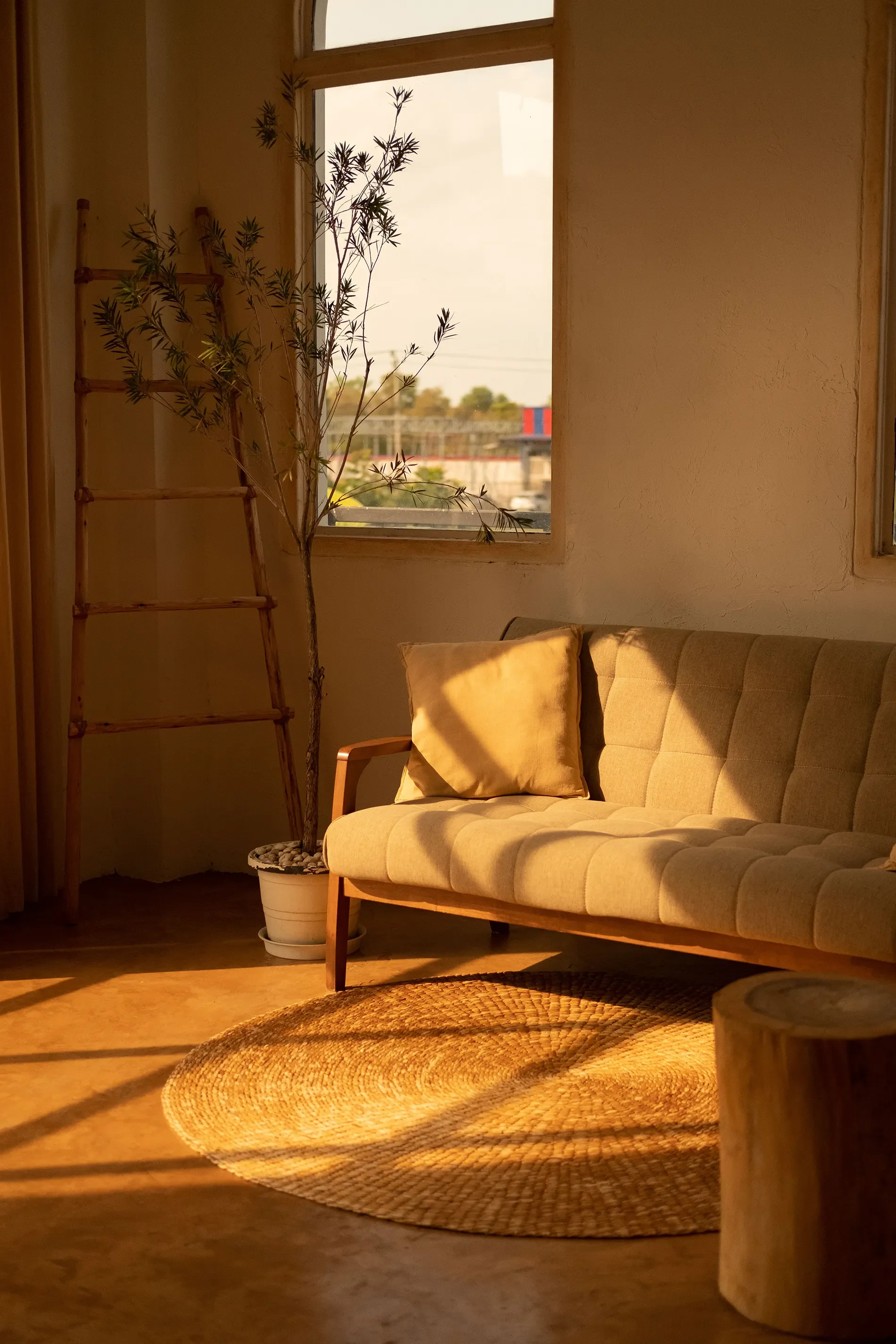 A cozy living room corner featuring a beige sofa with a pillow, a leafy plant in a white pot, a wooden ladder, a round woven rug, and sunlight coming through the window.