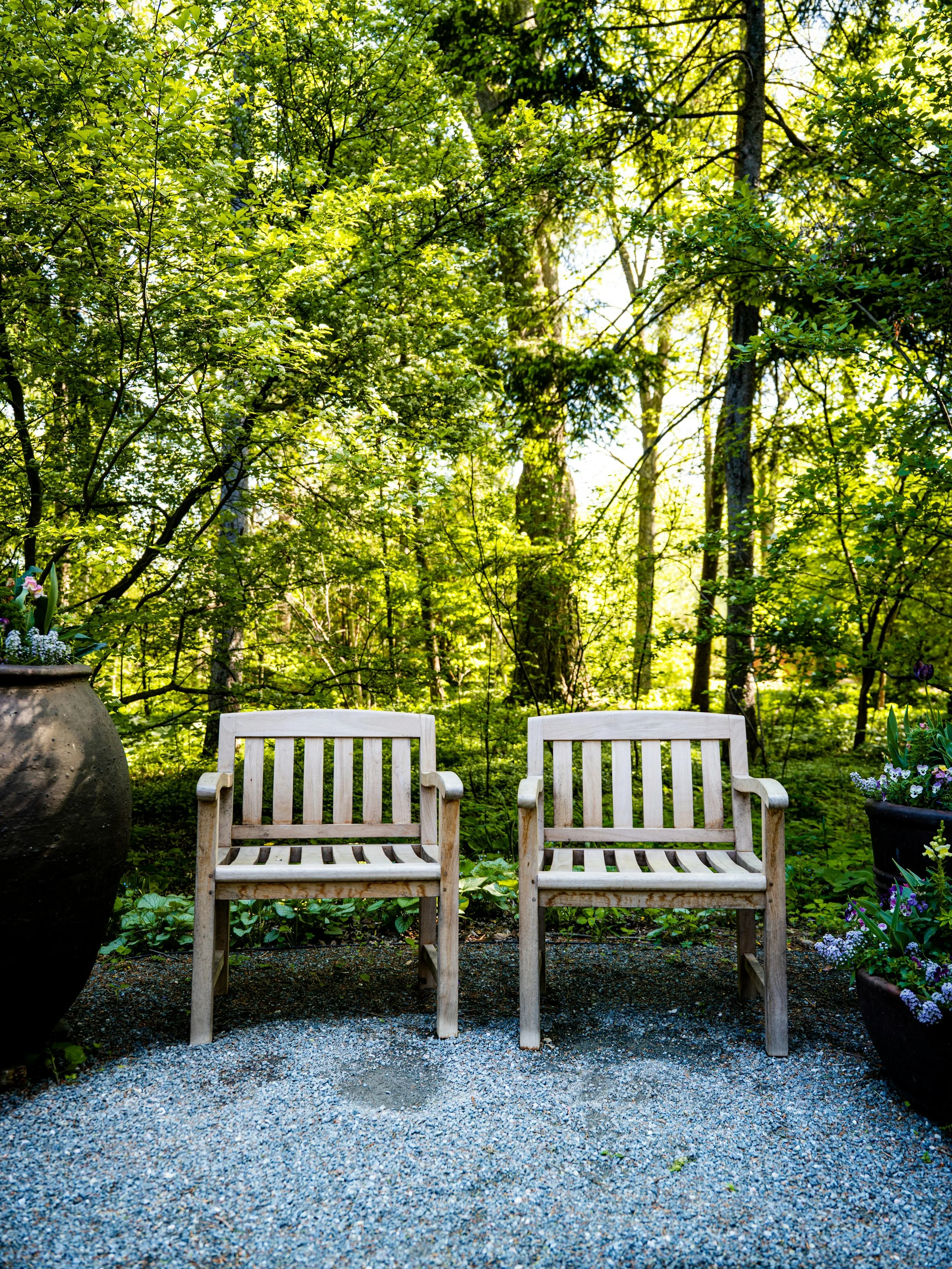 Two white wooden chairs are placed outdoors on a gravel patch, with large potted plants containing flowers on either side, set against a lush green forest background with dense foliage and sunlight filtering through the trees.