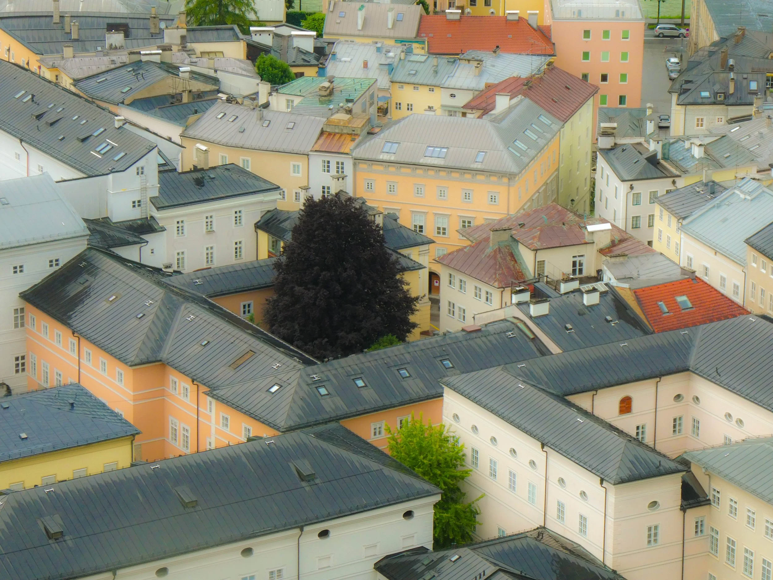 P1030315.jpg