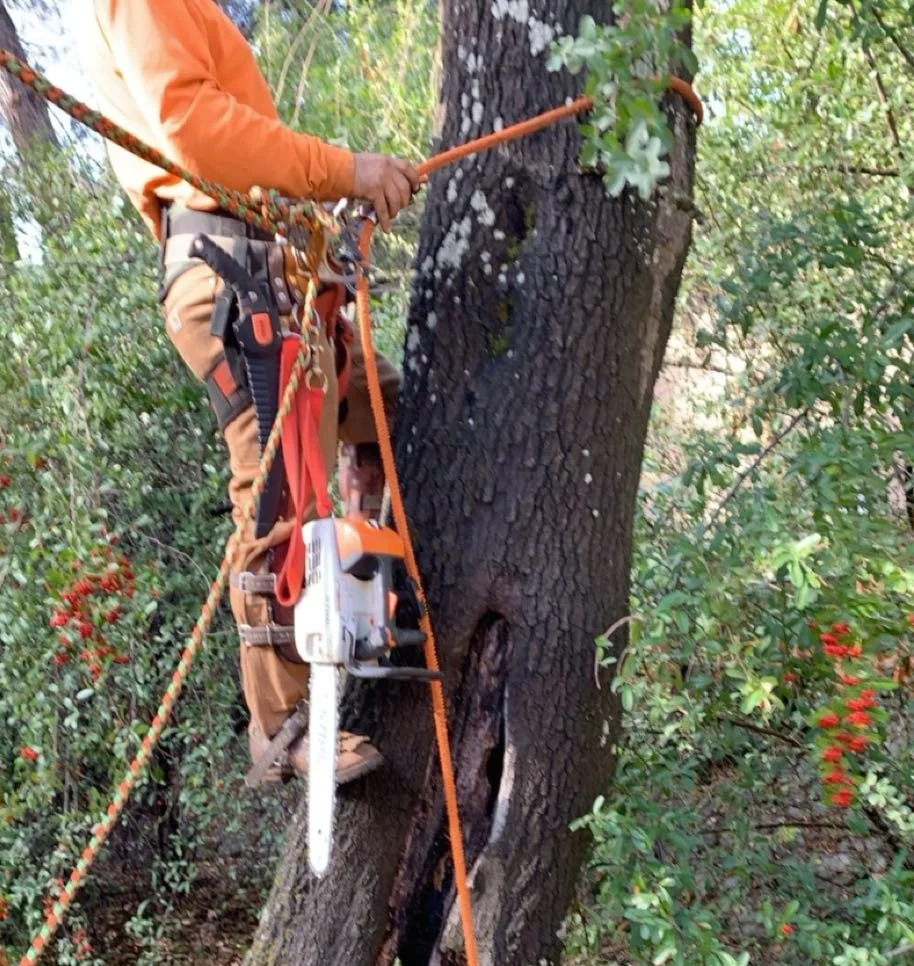 SNAP_20201114-104310.png