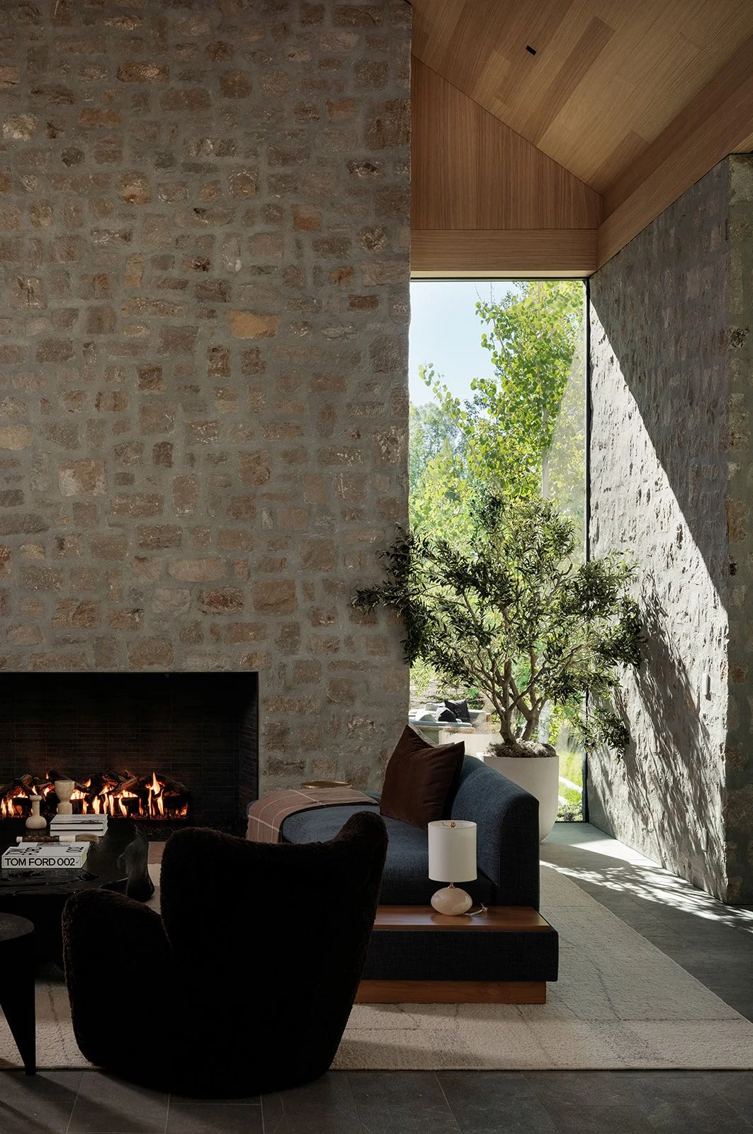 Living Room Olive Tree Window - Portfolio.jpg