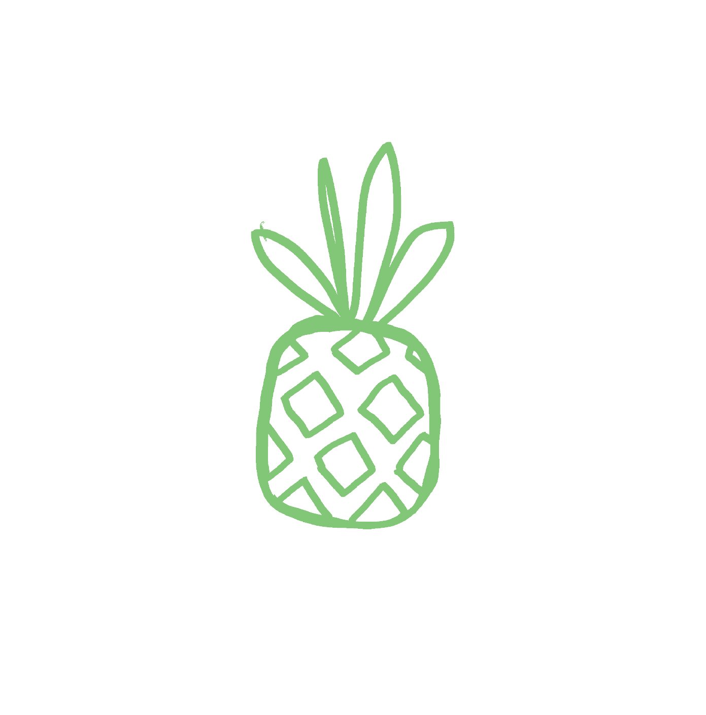 Outline drawing of a pineapple with green leaves against a white background.