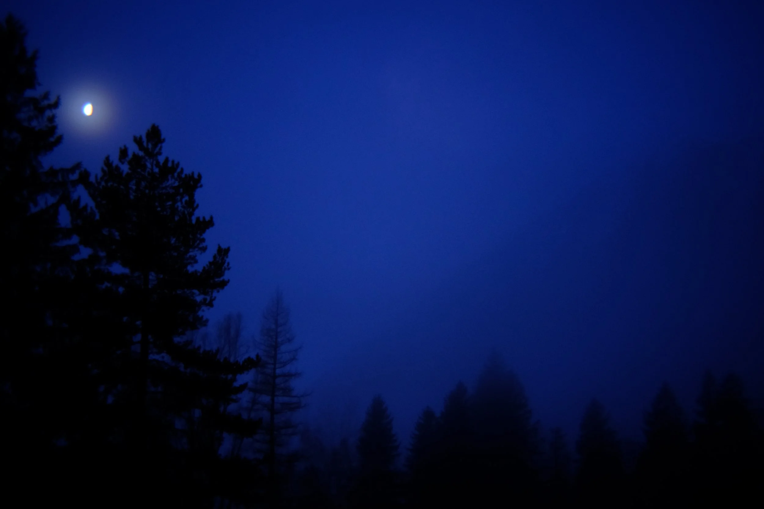 DSCF0135.JPG