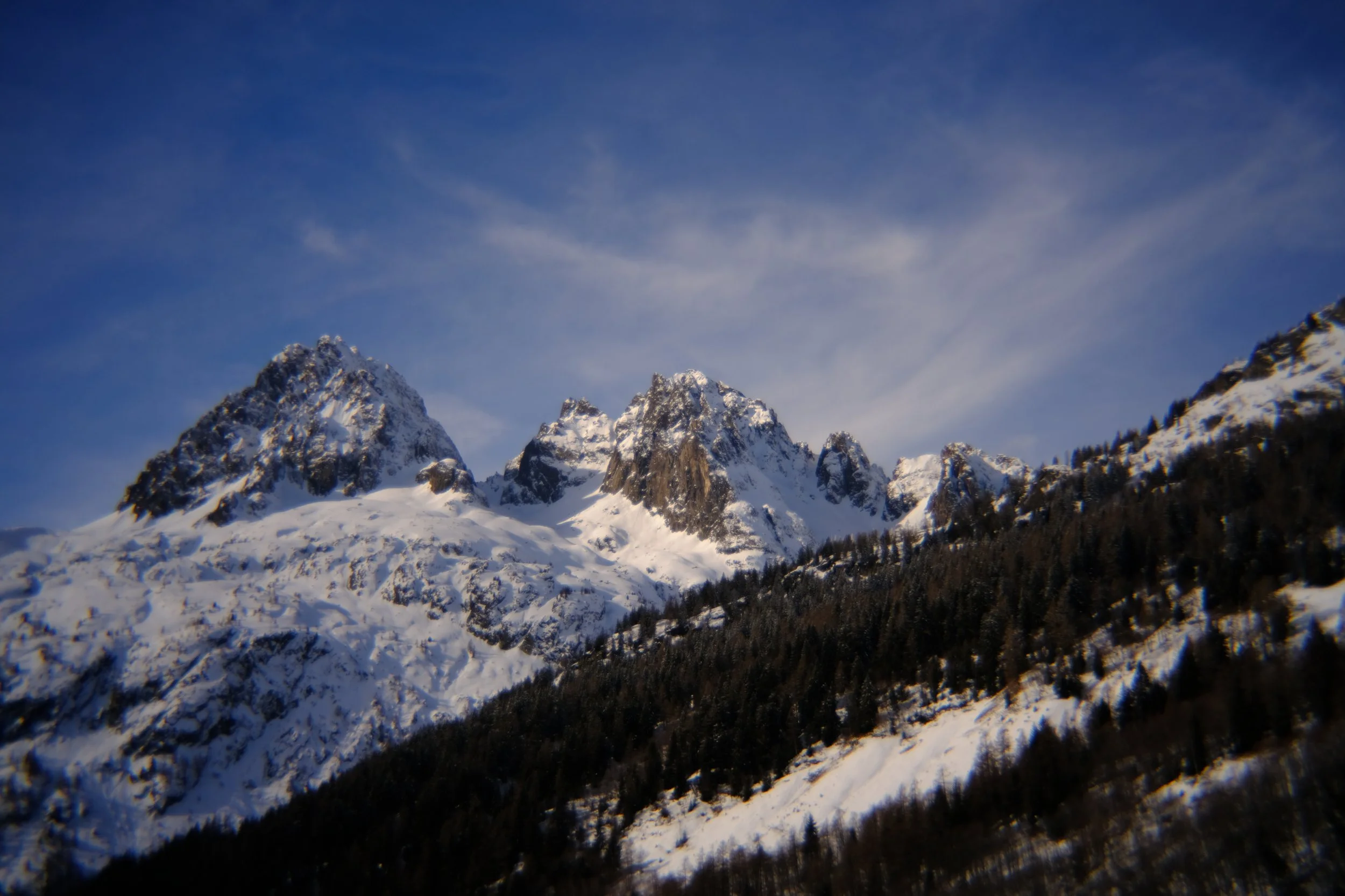 DSCF0205.JPG