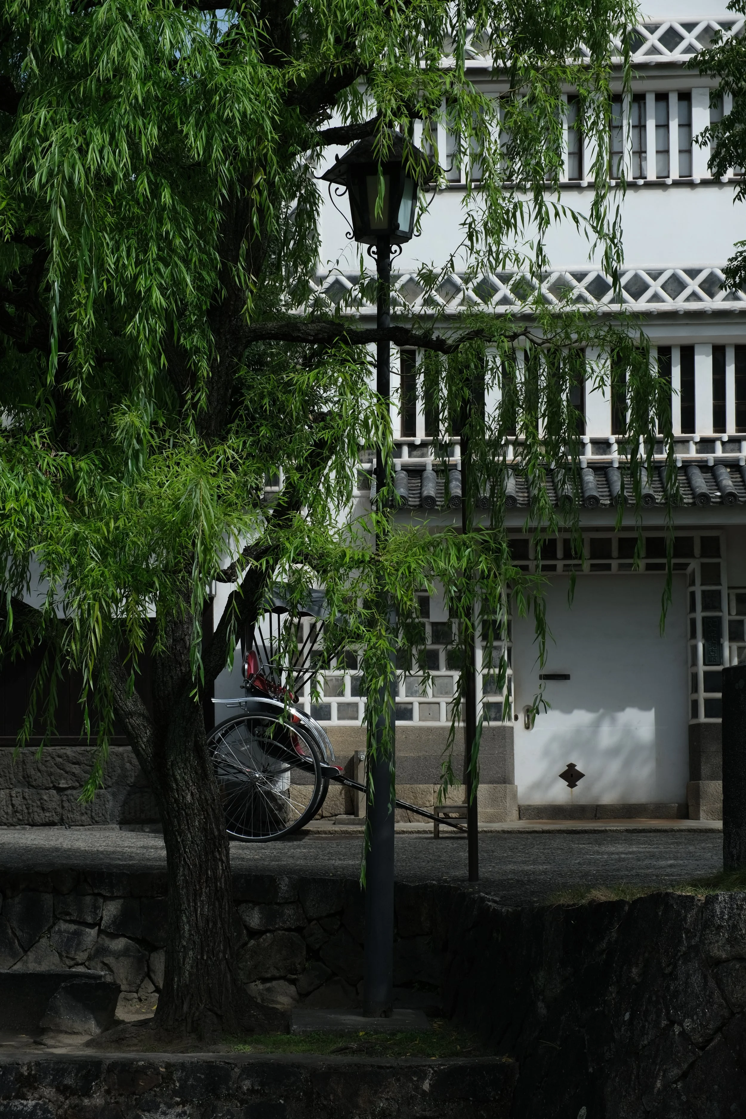 IMG_1574.jpeg