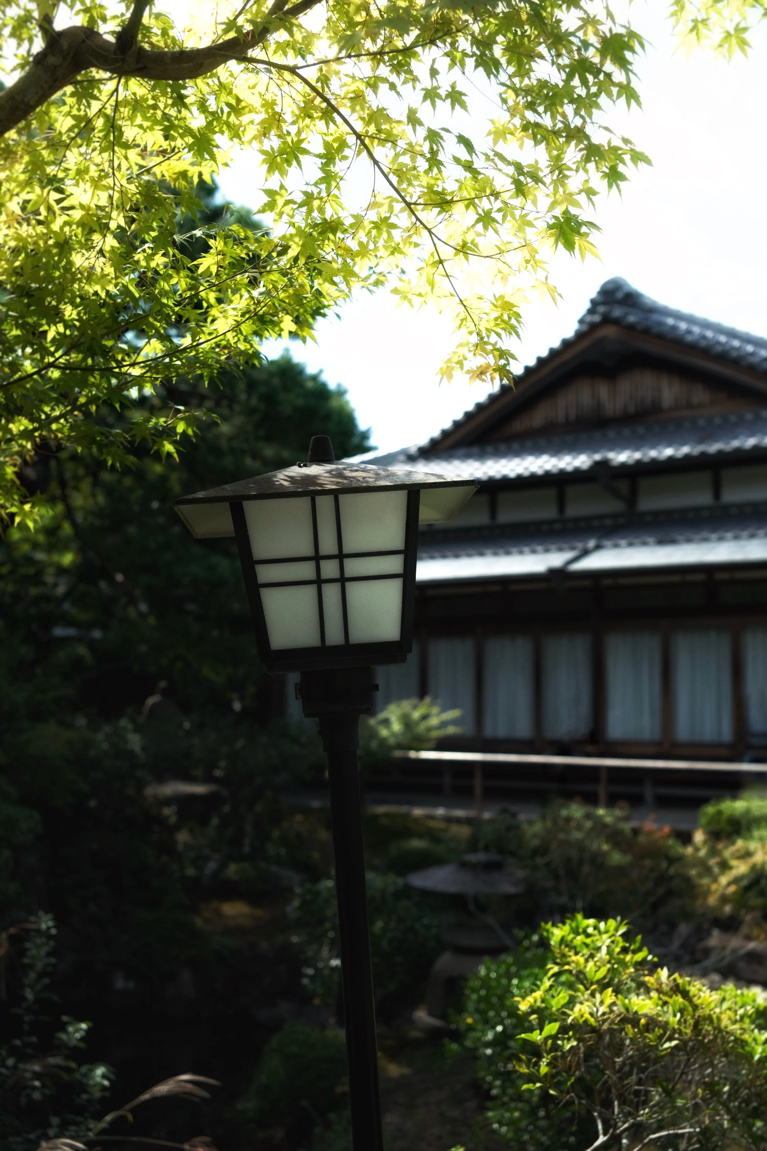 IMG_1200.jpeg