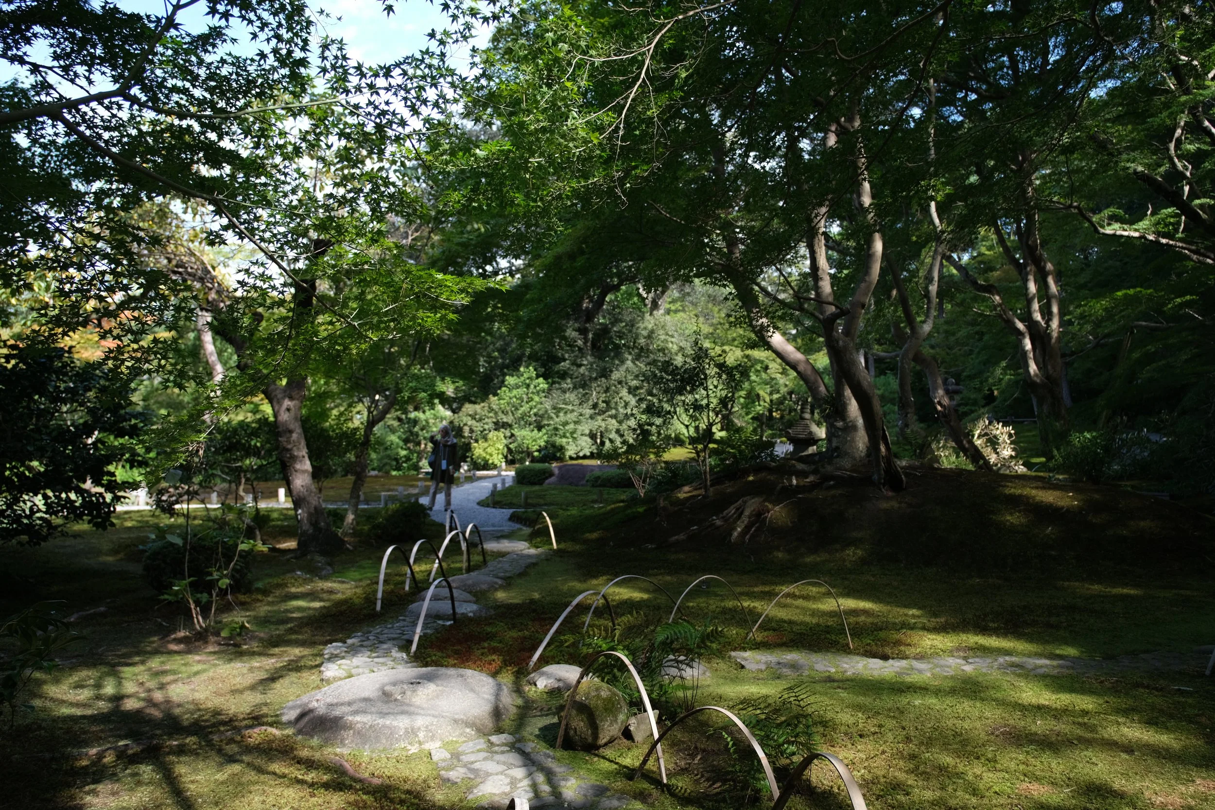 The Japans