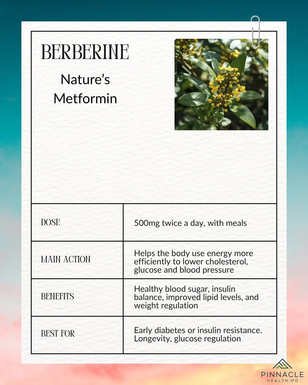 Supplement spotlight: what you need to know! In this series, we're highlighting 4 essential supplements for metabolic health and cardiovascular wellness. Interested in a personalized approach? Book an appointment and get a customized wellness plan in