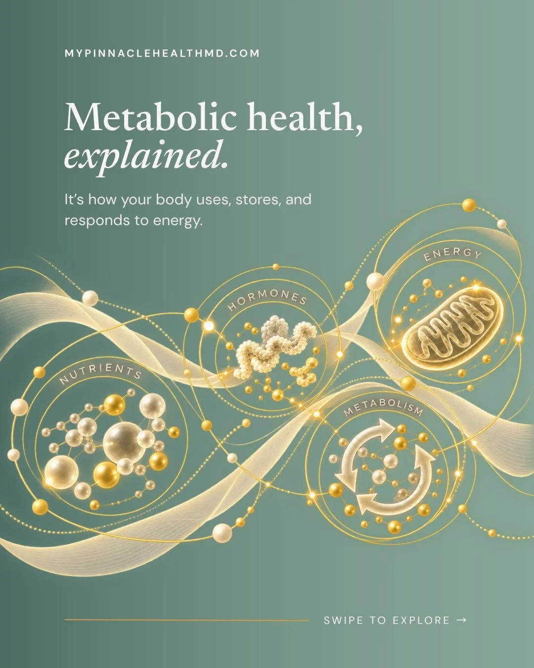 Metabolic health is about more than your metabolism. 

It&rsquo;s how your body uses, stores, and responds to energy and it plays an important role in how you feel and function every day.

From blood sugar regulation and hormone signaling to nutrient
