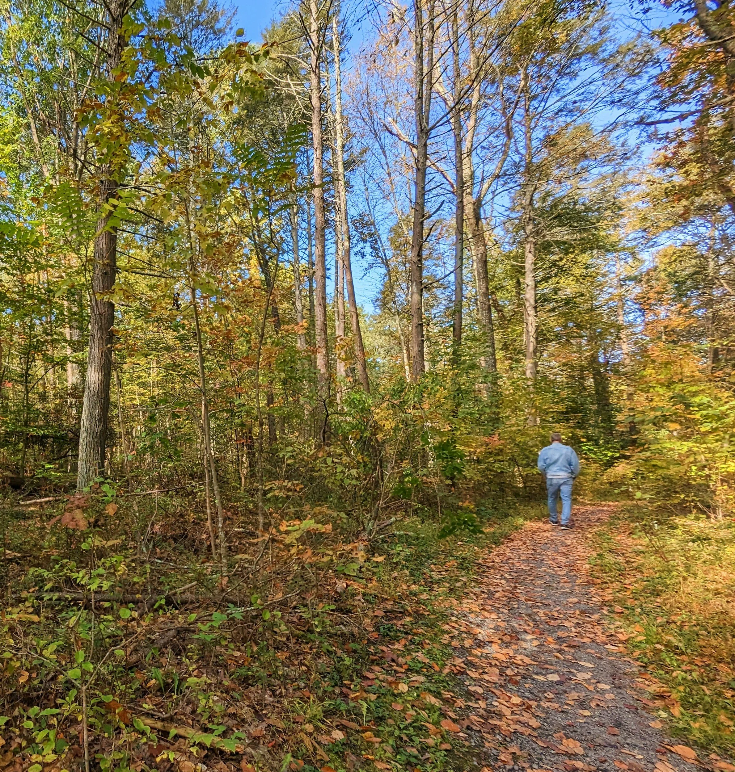  Michaux State Forest Field Trip