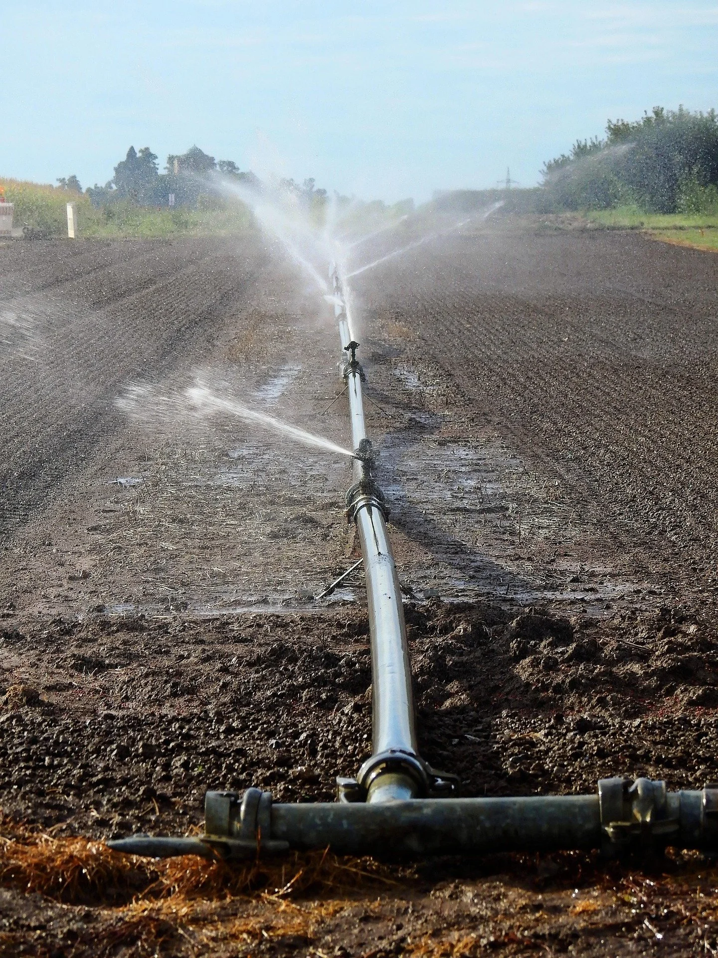 La Commissione Europea avverte: aumenta il rischio di stress idrico per le colture nelle principali aree agricole europee