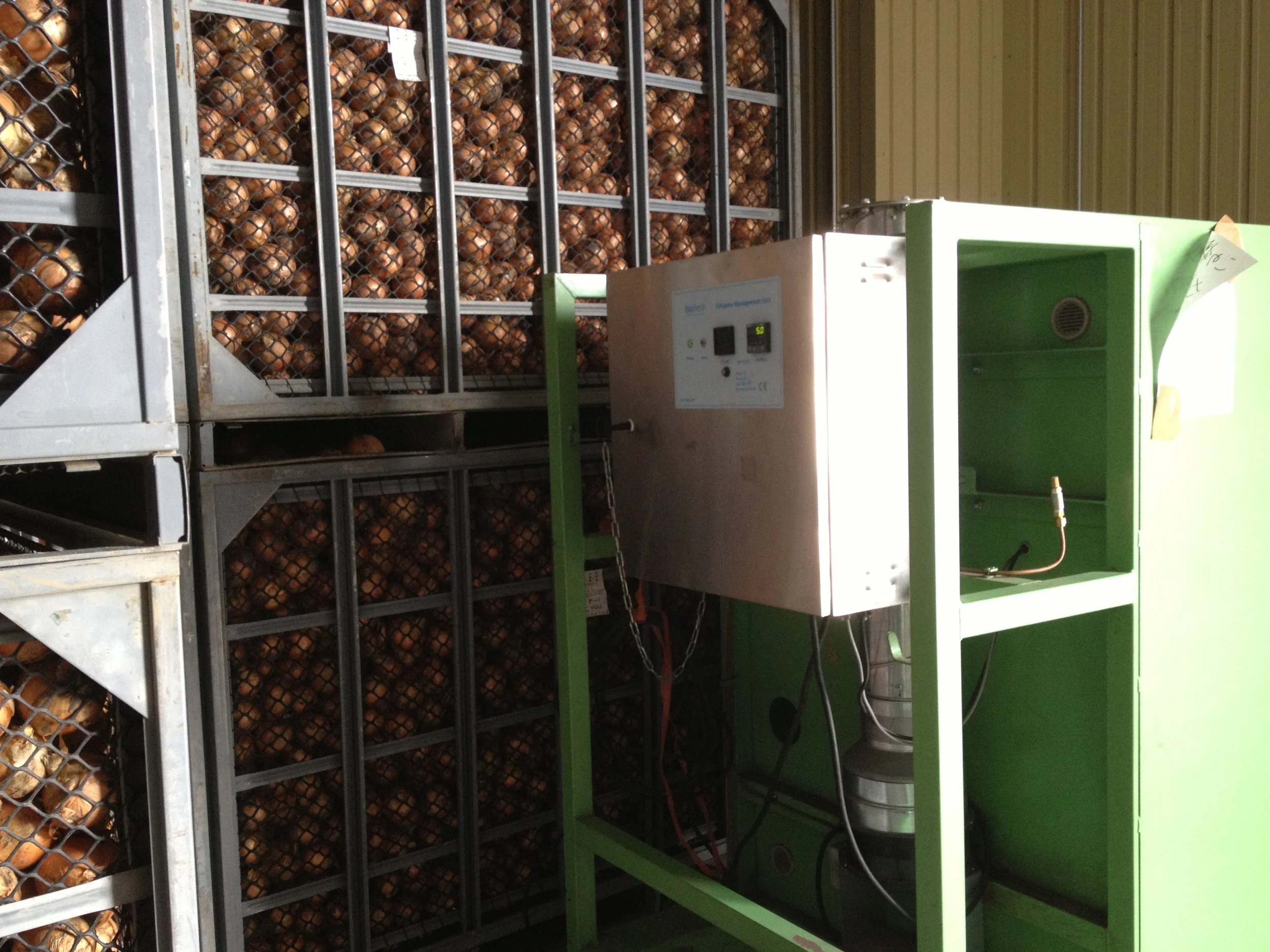 Safestore ethylene management unit installed in an onion storage room to maintain bulb quality and support long-term storage.