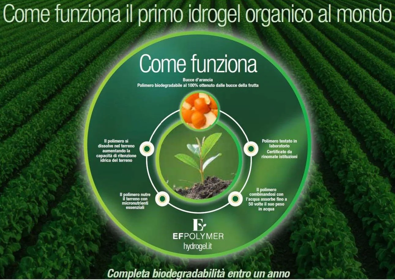 Infografica che illustra il funzionamento di EF Polymer, il primo idrogel organico al mondo ottenuto da scarti della lavorazione della frutta, capace di assorbire e rilasciare acqua, migliorare la ritenzione idrica del e biodegradarsi entro un anno.