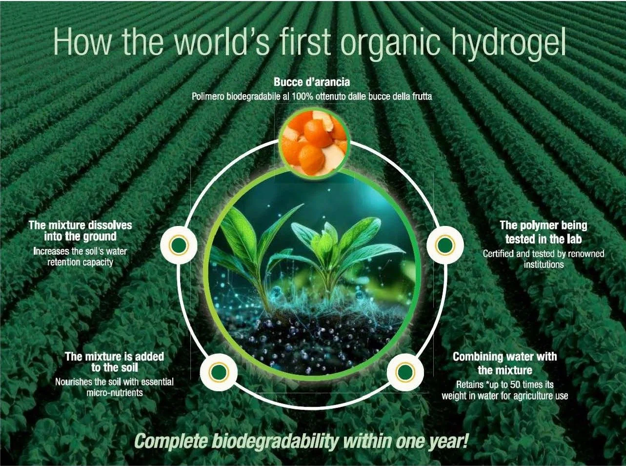 Diagram showing circular agriculture with EF Polymer organic hydrogel, produced from natural biomass, improves soil water retention and biodegrades naturally within one year.
