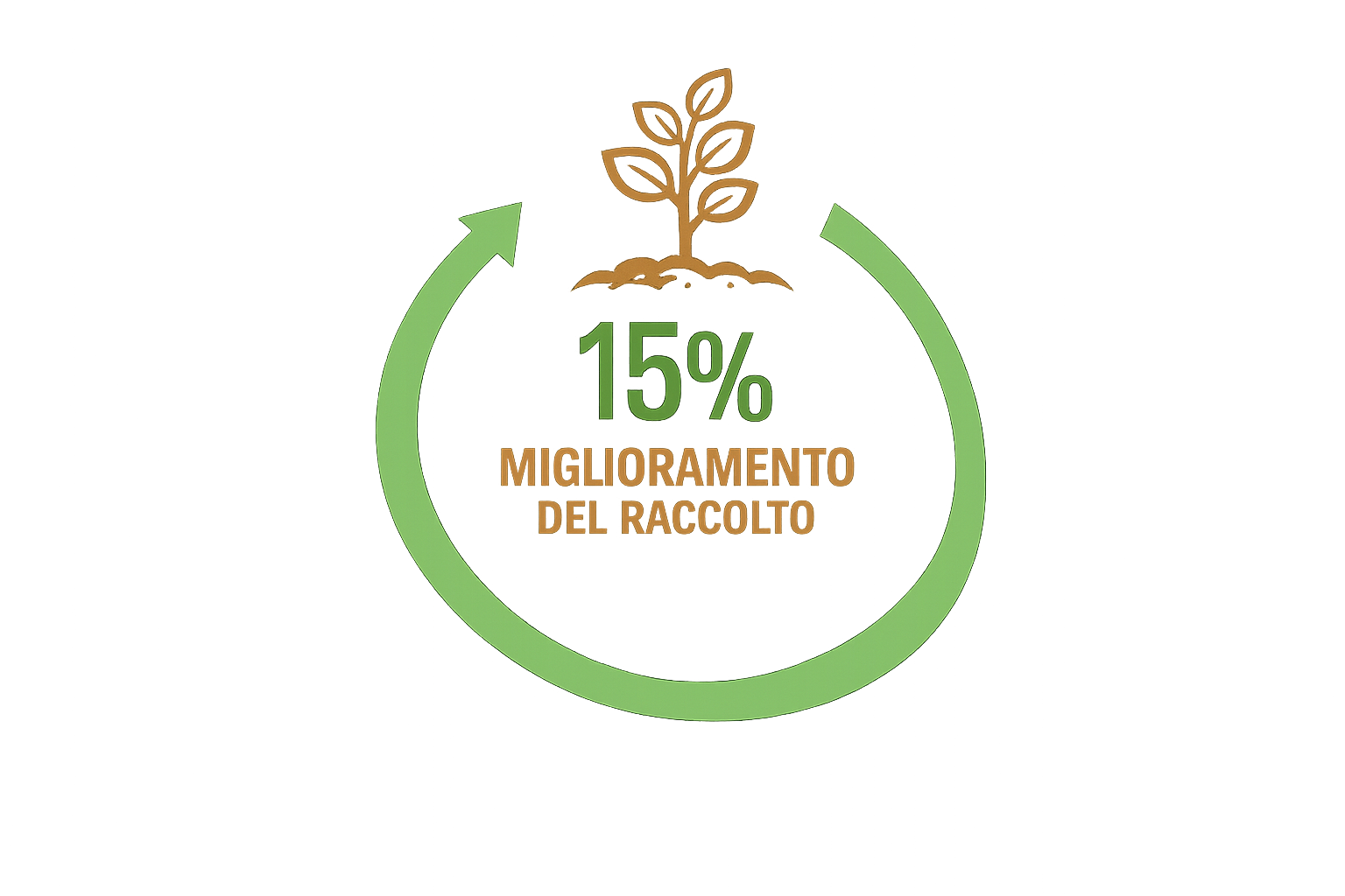 EF Polymer favorisce un incremento delle rese produttive fino al 15% grazie a una migliore disponibilità di acqua e nutrienti.