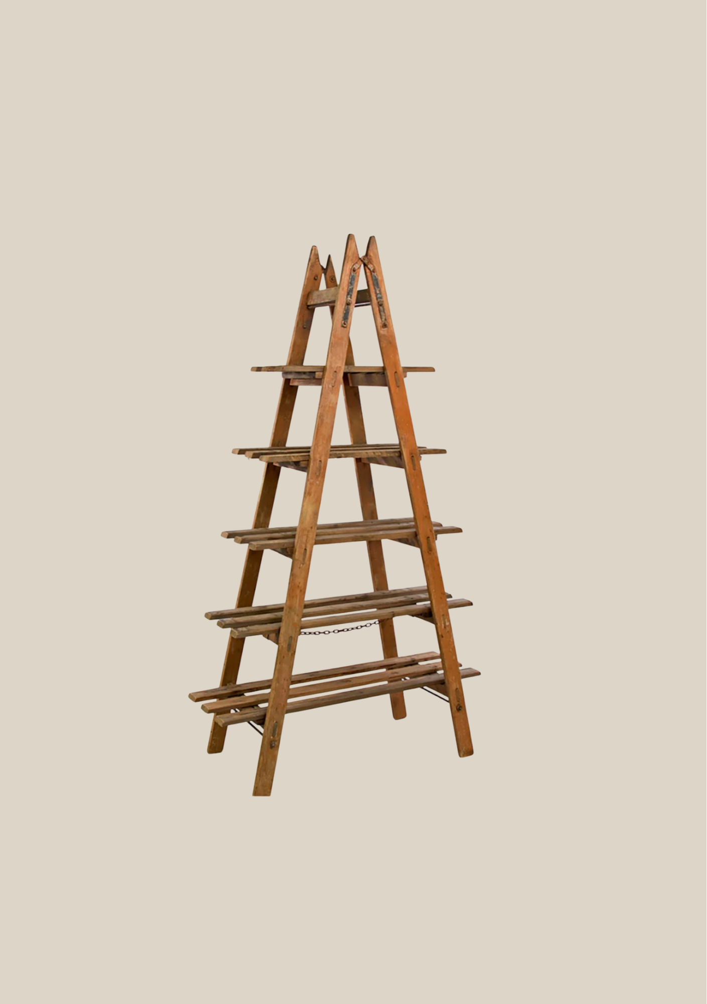 5 Shelf Ladder