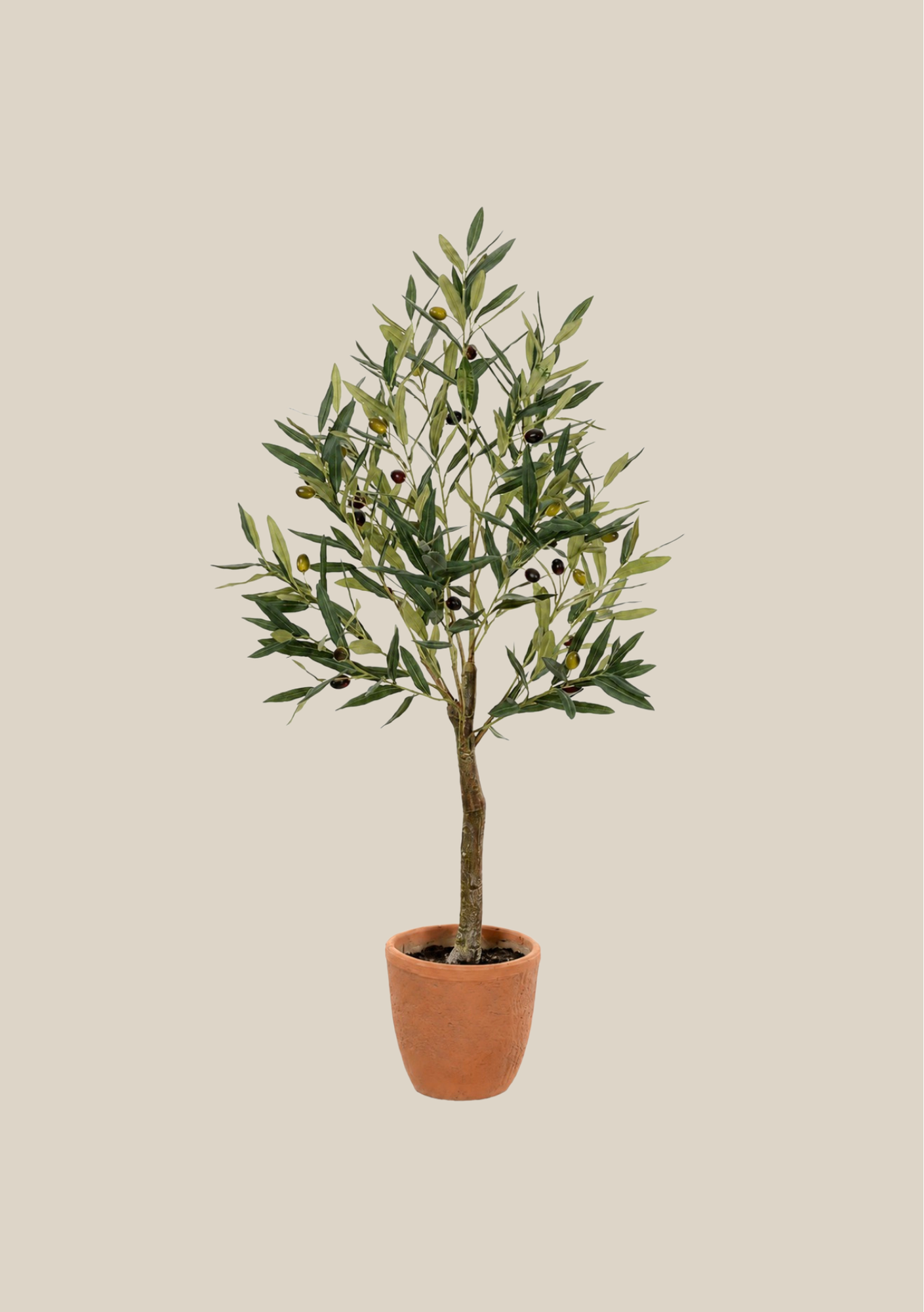 Olive Tree Topiary - 41"