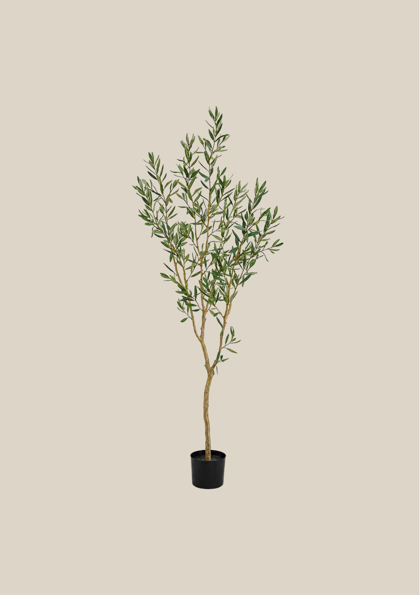 Tall Topiary - 66"