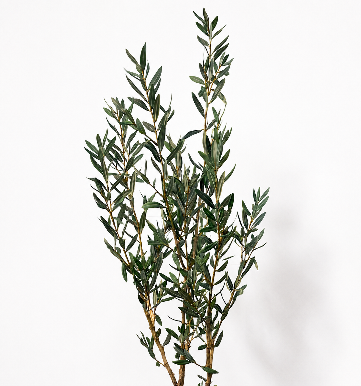 Tall Topiary - 66"