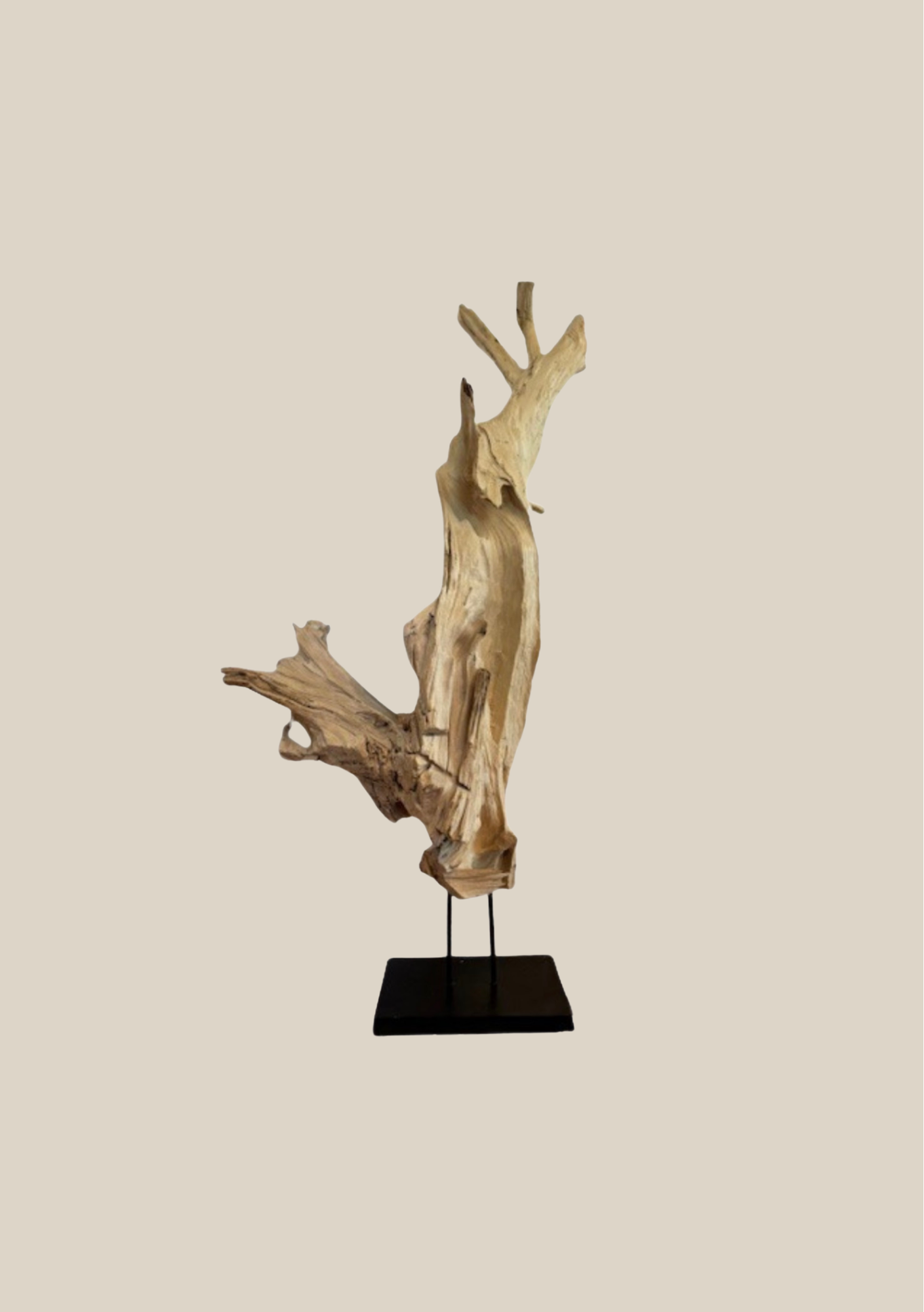 Bleached Erosion Wood Sculpture