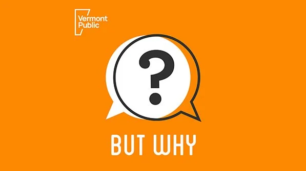 But Why Podcast